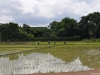 001_1024x768 (3)
